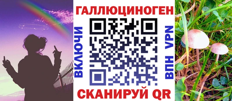 купить  цена  Сорочинск  Псилоцибиновые грибы мицелий 