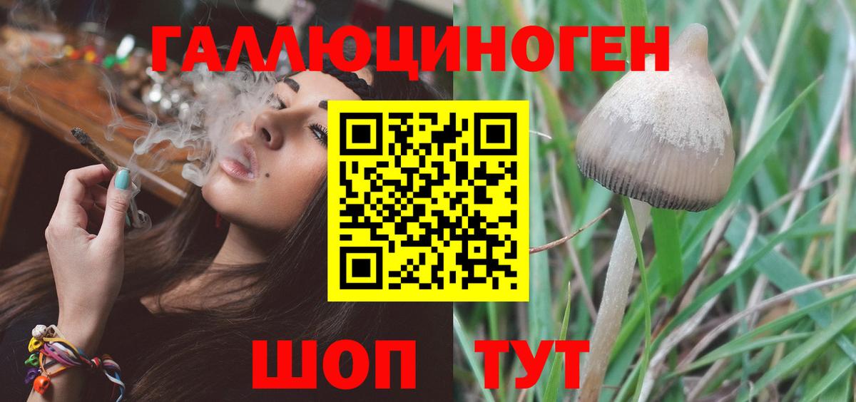 Сорочинск  Галлюциногенные грибы GOLDEN TEACHER  Вход с VPN 